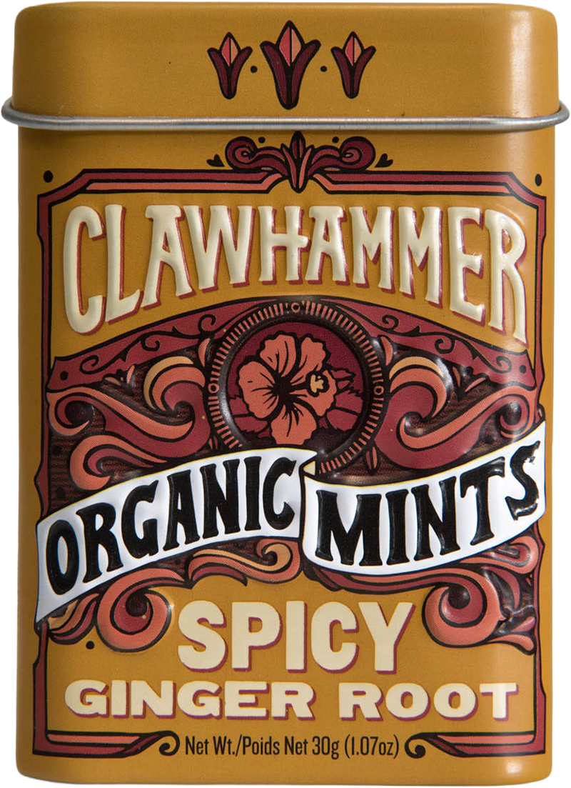 Clawhammer Mints Spicy Ginger Root 12-Pack